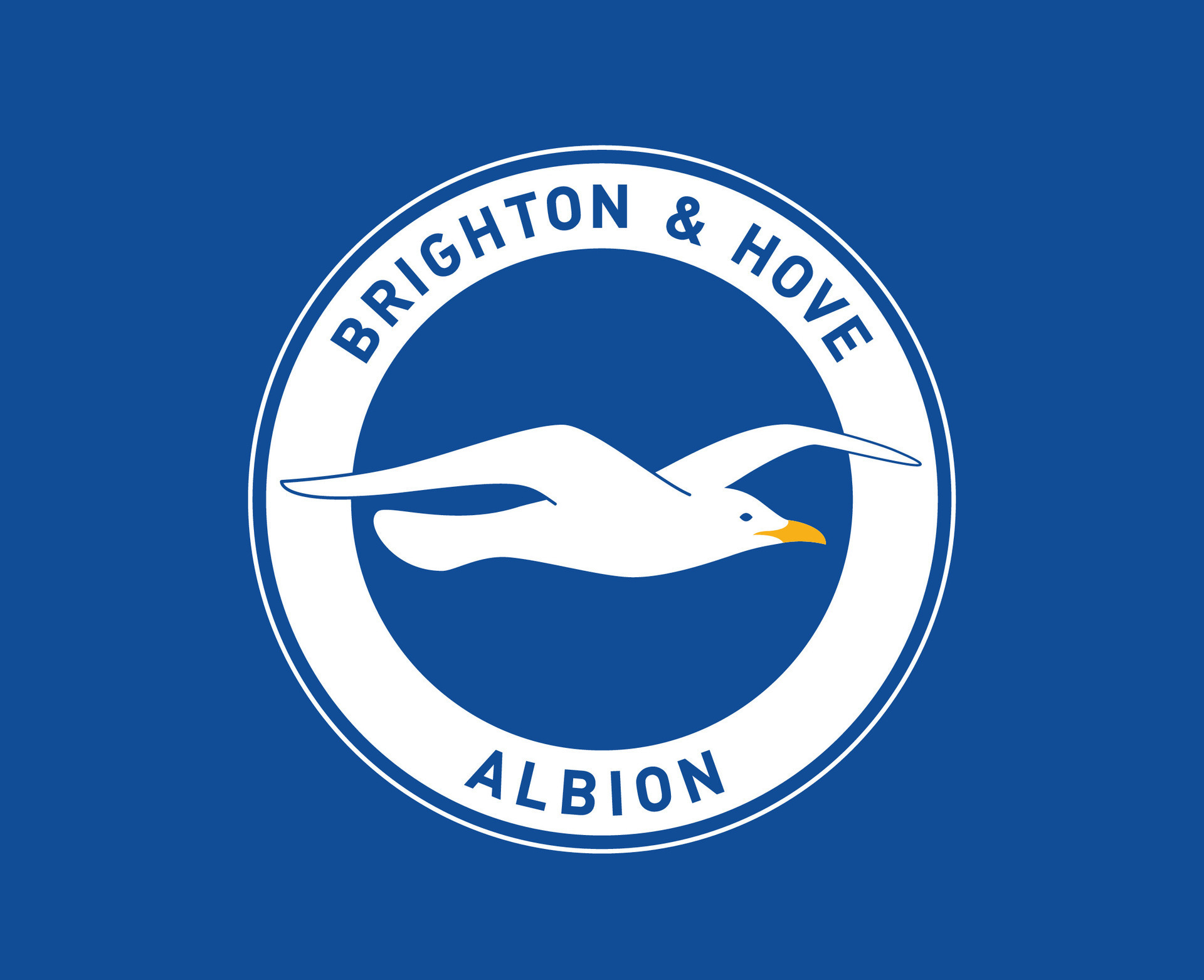 brighton-club-logo-symbol-premier-league-football-abstract-design-illustration-with-blue-background-free-vector