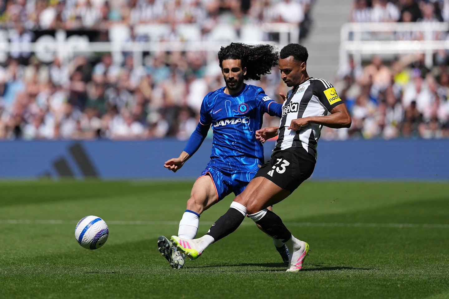 Photo Credit (Getty Images)