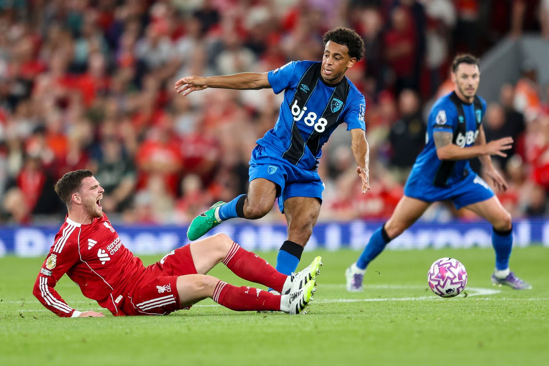 Photo Credit (Getty Images) Image