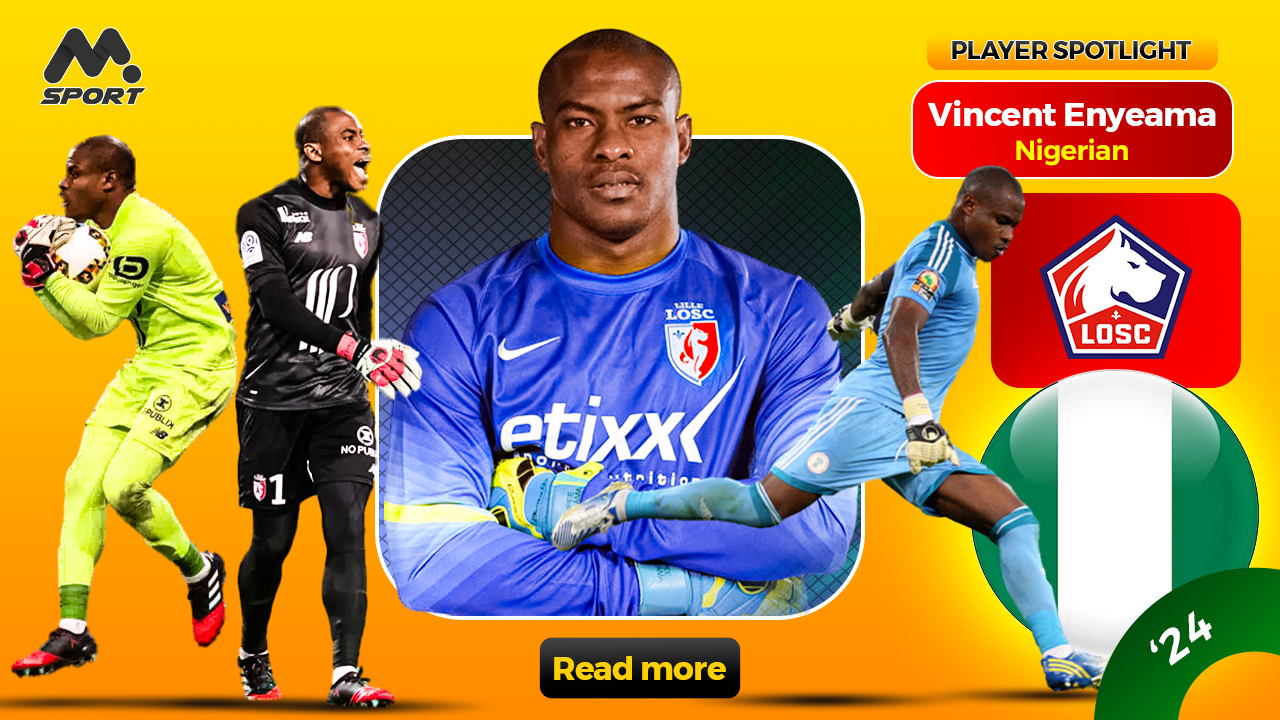 Vincent Enyeama: Greatest African GoalKeeper of All Time?